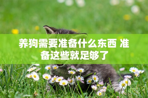 養狗需要準備什么東西 準備這些就足夠了