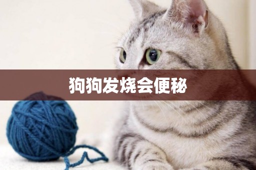 狗狗發燒會便秘