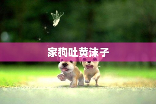 家狗吐黃沫子