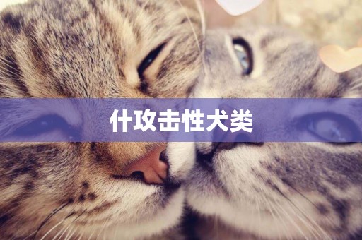 什攻擊性犬類