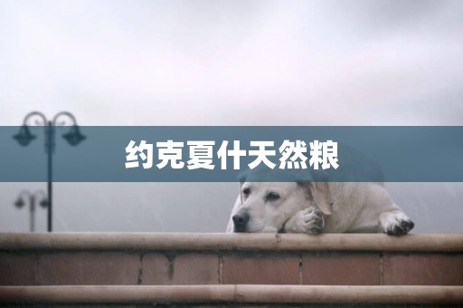 約克夏什天然糧