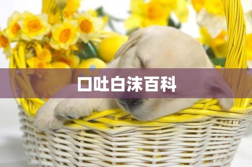 口吐白沫百科