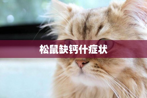 松鼠缺鈣什癥狀