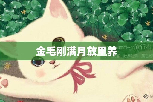 金毛剛滿月放里養