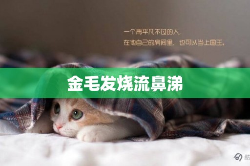 金毛發燒流鼻涕