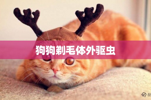 狗狗剃毛體外驅蟲