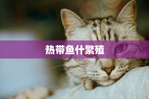熱帶魚什繁殖