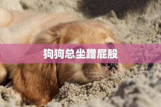 狗狗總坐蹭屁股