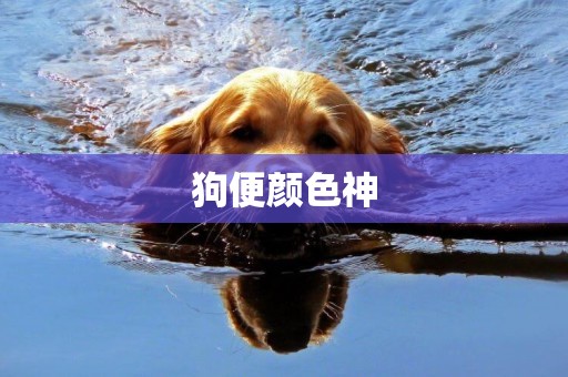 狗便顏色神