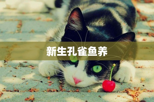 新生孔雀魚養