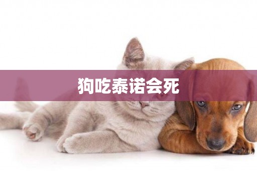狗吃泰諾會死