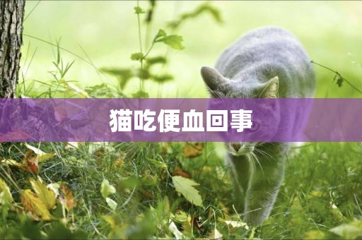 貓吃便血回事