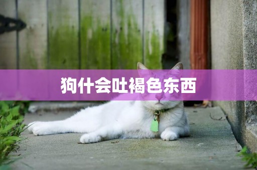 狗什會吐褐色東西