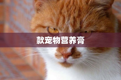 款寵物營養膏