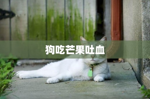 狗吃芒果吐血