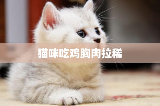 貓咪吃雞胸肉拉稀