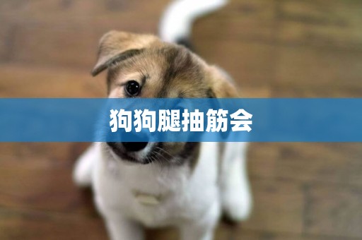 狗狗腿抽筋會