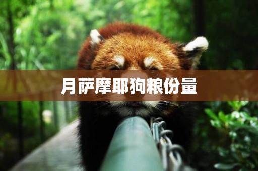月薩摩耶狗糧份量