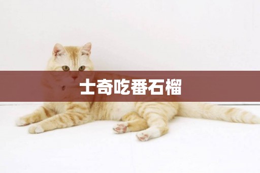 士奇吃番石榴