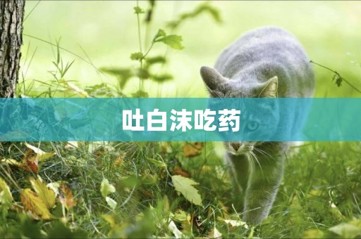吐白沫吃藥