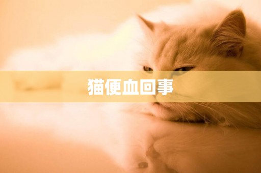 貓便血回事