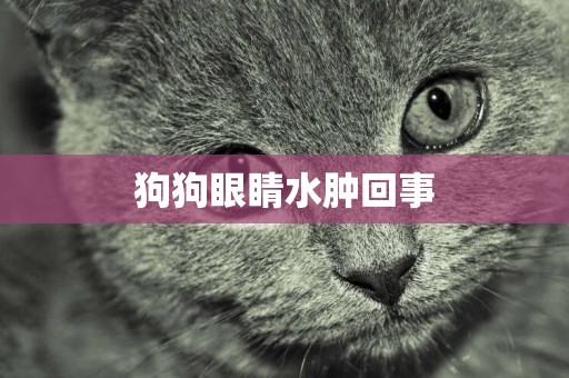 狗狗眼睛水腫回事