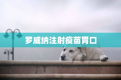 羅威納注射疫苗胃口