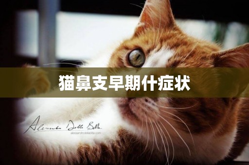 貓鼻支早期什癥狀