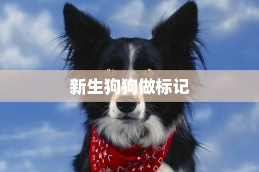 新生狗狗做標記