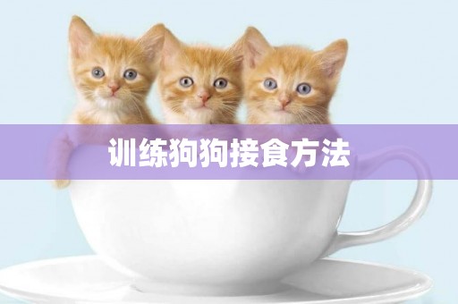 訓練狗狗接食方法