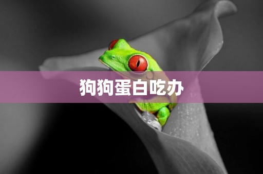 狗狗蛋白吃辦
