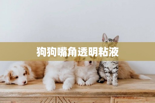 狗狗嘴角透明粘液