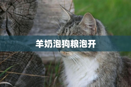 羊奶泡狗糧泡開
