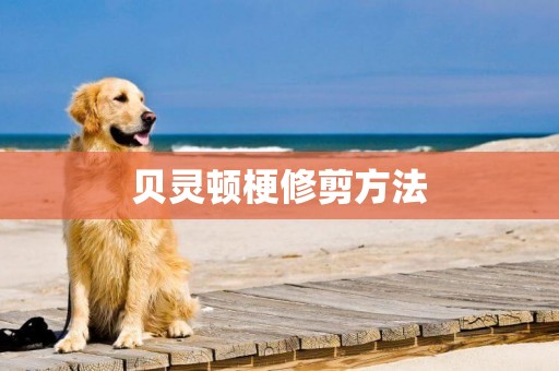 貝靈頓梗修剪方法