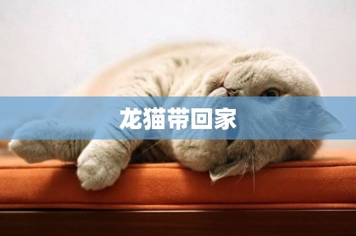 龍貓帶回家
