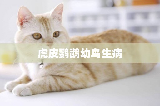 虎皮鸚鵡幼鳥生病