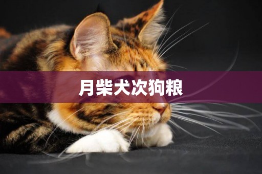 月柴犬次狗糧