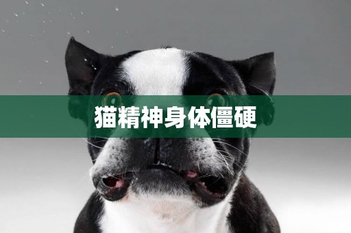 貓精神身體僵硬