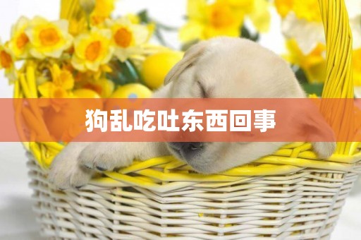 狗亂吃吐東西回事