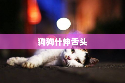 狗狗什伸舌頭