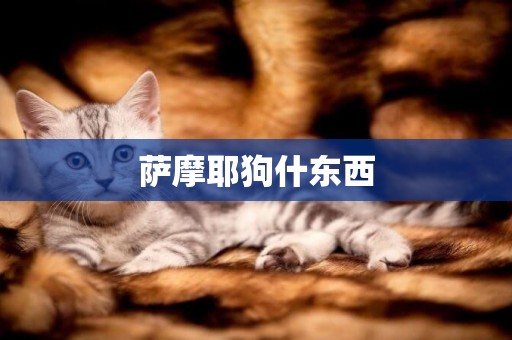 薩摩耶狗什東西