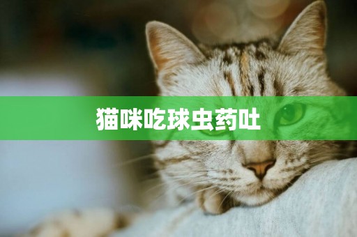 貓咪吃球蟲藥吐