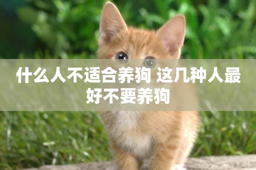 什么人不適合養狗 這幾種人最好不要養狗