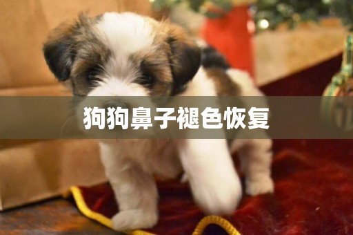 狗狗鼻子褪色恢復