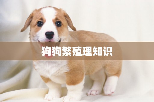 狗狗繁殖理知識