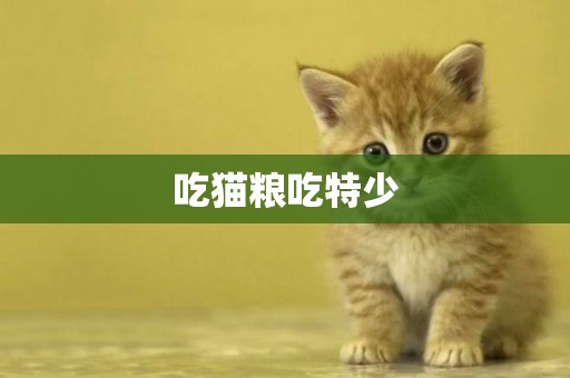 吃貓糧吃特少