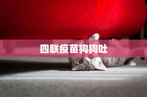 四聯疫苗狗狗吐