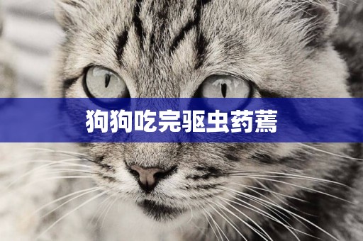 狗狗吃完驅蟲藥蔫