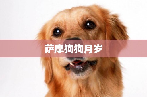 薩摩狗狗月歲