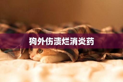 狗外傷潰爛消炎藥
